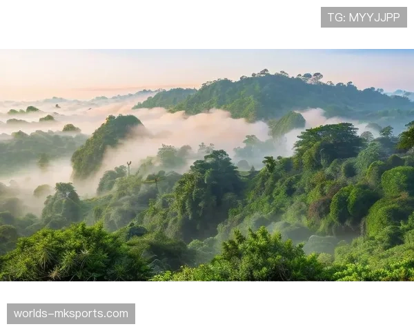 选手在热带雨林赛道感受自然生态之美